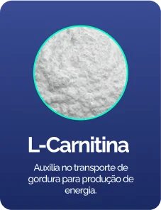 l cartinina (1)